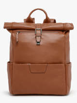 Sac à Dos Business Flandres 1 Compartiment Cuir Etrier Marron flandres EFLA8102