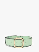 Bandoulière De Sac Altair Etrier Vert altair EALA070L-vue-porte