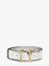 Bandoulière De Sac Altair Etrier Argent altair EALA070L-vue-porte