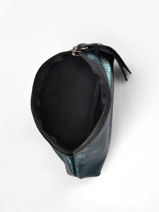 Trousse Xs Etincelle Irisée Cuir Etrier Vert etincelle irisee EETI651-vue-porte