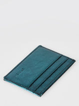 Porte-cartes Etincelle Irisée Cuir Etrier Vert etincelle irisee EETI011-vue-porte
